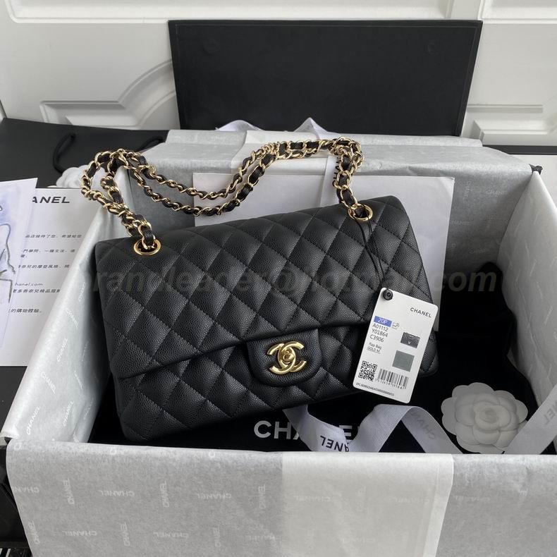 Chanel Handbags 421